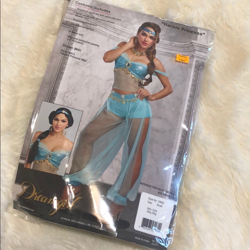 Harem Princess costume